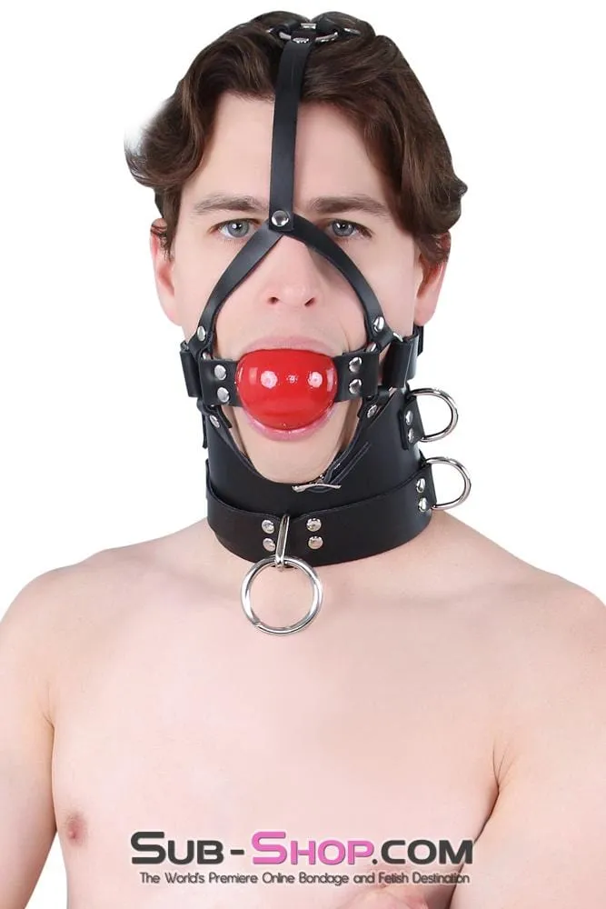 0450A      2” Leather Ball Gag Trainer, Candy Apple Red Ball