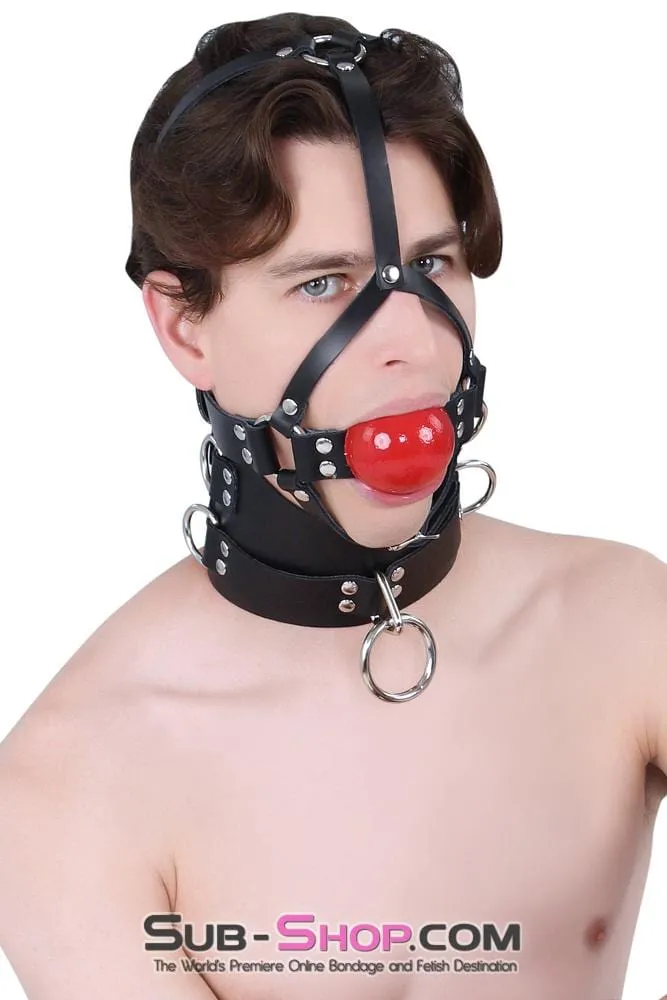 0450A      2” Leather Ball Gag Trainer, Candy Apple Red Ball