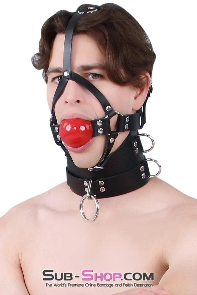 0450A      2” Leather Ball Gag Trainer, Candy Apple Red Ball