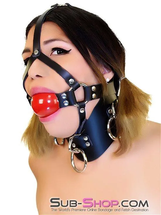 0450A      2” Leather Ball Gag Trainer, Candy Apple Red Ball