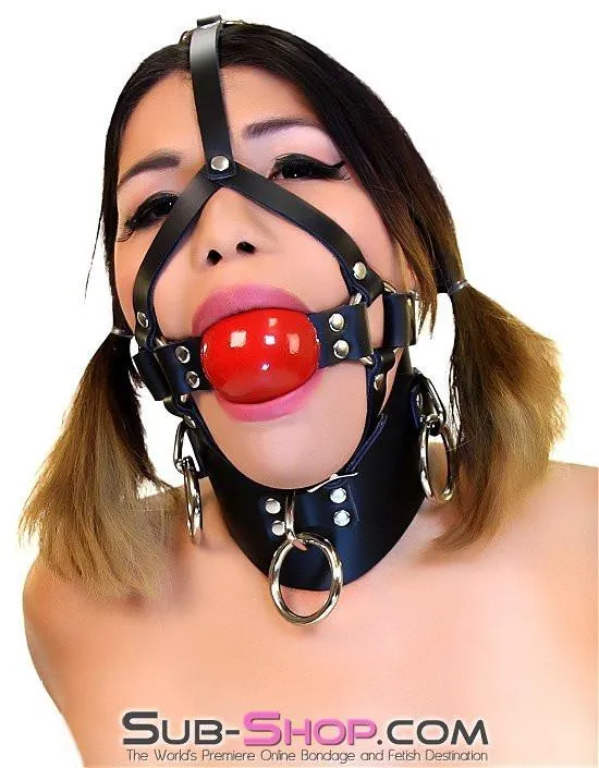 0450A      2” Leather Ball Gag Trainer, Candy Apple Red Ball