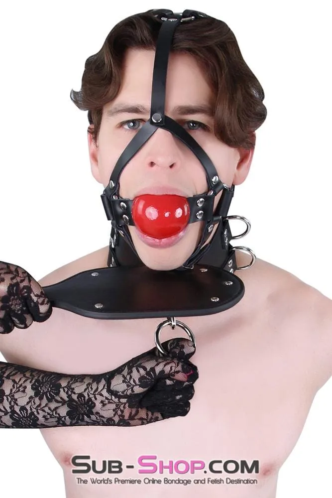 0450A      2” Leather Ball Gag Trainer, Candy Apple Red Ball