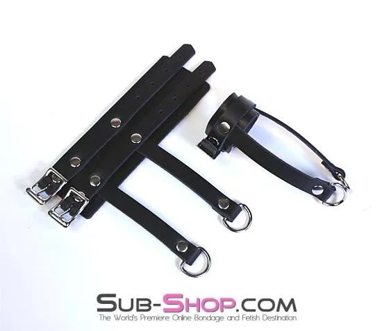 0788A-SIS      Sissy's Leather Buckling Ball Stretcher Bondage Strap