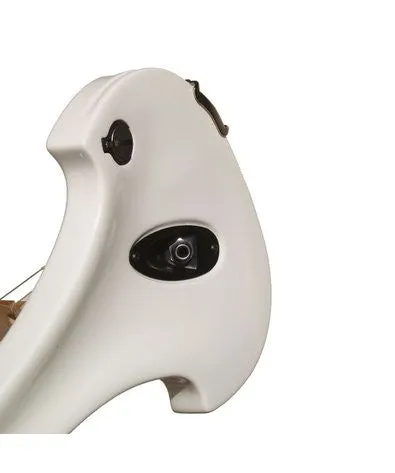 Bridge Lyra 5-String Electric Violin Outfit