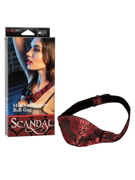 SCANDAL HIDDEN PLEASURE BALL GAG